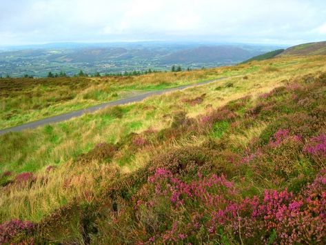 County Armagh, Ireland - North-West from Slieve Gullion looking NW into Armagh by Ross Armagh Northern Ireland, Common Surnames, Counties Of Ireland, Perth Scotland, Irish Surnames, Celtic Nations, Irish Names, Armagh, Irish Heritage