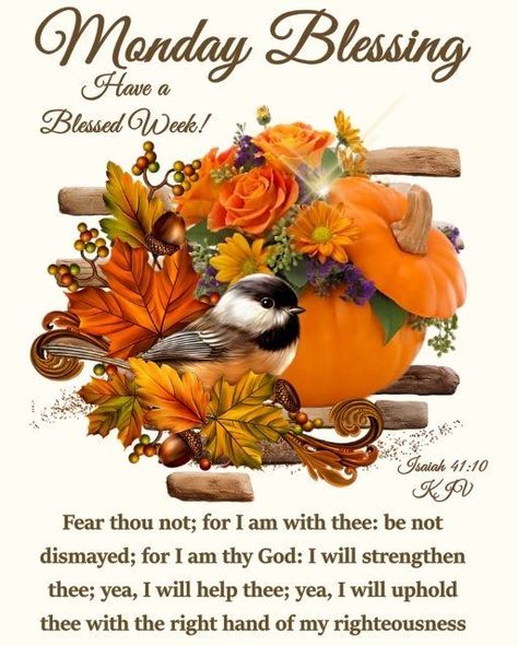 Pumpkin Bird, Have A Blessed Monday, Monday Morning Blessing, Happy Monday Images, Morning Scripture, Have A Blessed Week, Monday Images, Good Morning Motivation, Blessed Week