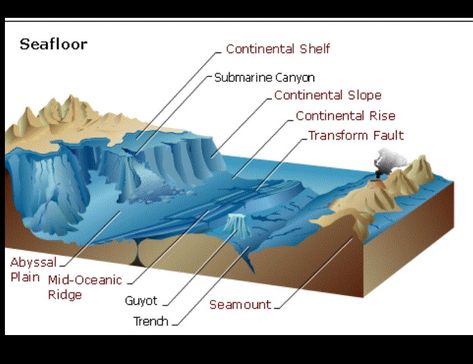 Classical Conversations Foundations, Ocean Projects, Continental Shelf, Ocean Unit, Earth And Space Science, Classical Education, Ocean Floor, Plate Tectonics, Classical Conversations