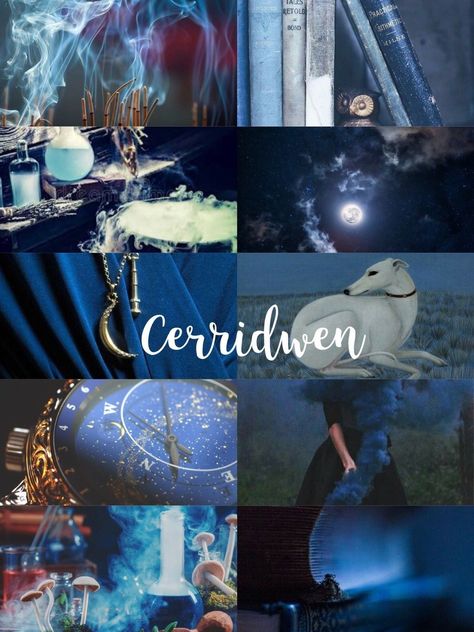 Witch, cerridwen, ceridwen, welsh goddess. 🌻Cerridwen🌻 Welsh Goddess of magic, wisdom, creativity, rebirth, prophecy,  and poetry Cerridwen Aesthetic, Cerridwen Goddess, Phone Lockscreen, Celtic Goddess, Celtic Mythology, Mythology Art, Witchy Woman, Gold Work, Tea Party