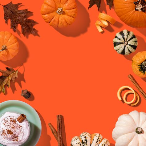 overhead image of autumn themed objects on an orange background Thanksgiving Post Ideas, Photography Advertising Ideas, Advertising Ideas Marketing, S Background, Thanksgiving Post, Fall Journal, Quirky Furniture, Marketing Aesthetic, Aztec Tattoos