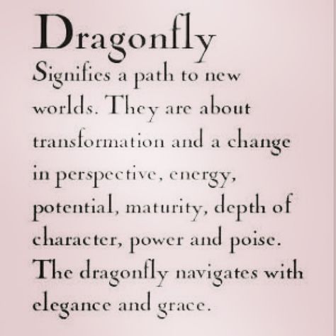 Quotes About Dragonflies, Dragonfly Meaning Spiritual, Dragonfly Meaning, Dragonfly Quotes, Dragonfly Facts, Dragonfly Symbolism, Dragonfly Tattoo Design, Dragonfly Dreams, Spiritual Manifestation