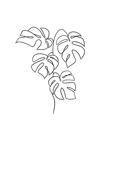 Single Line Monstera Tattoo, Plant Line Work Tattoo, Monstera Flower Tattoo, Monstera Outline Tattoo, Monstera Leaf Tattoos, Line Work Plant Tattoo, Plant Tattoo Outline, Monstera Line Tattoo, One Line Plant Tattoo