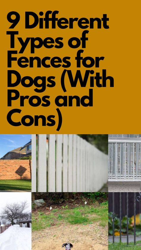 Dog Proof Fence Ideas, Best Fence For Dogs, Fence For Dogs Backyards, Dog Fence Ideas Backyards, Cheap Fence Ideas For Dogs, Pet Fence Ideas, Cheapest Fence Ideas, Fences For Dogs, Fencing For Dogs