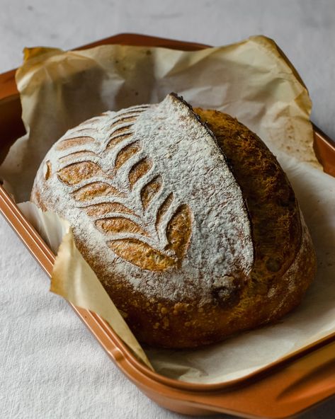 einkorn rye sourdough bloom Copper Chef Square Pan, Bread Aesthetic, Copper Cooking Pan, Sourdough Rye Bread, Cooking Pork Roast, Rye Sourdough, Einkorn Recipes, Sourdough Rye, Copper Chef