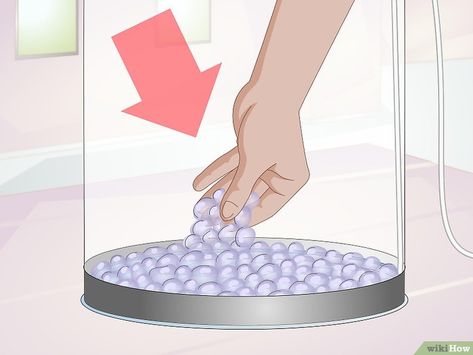 How to Start a Jellyfish Tank (with Pictures) - wikiHow Jellyfish Quotes, Jellyfish Sting, Jellyfish Lantern, Jellyfish Jewelry, Jellyfish Illustration, Jellyfish Tank, Jellyfish Aquarium, Spongebob Drawings, Jellyfish Craft