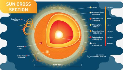 Sun Facts For Kids, Facts About The Sun, Sun Facts, Steam Challenges, Solar System Projects, Space Unit, Sun Projects, Matter Science, Science Illustration