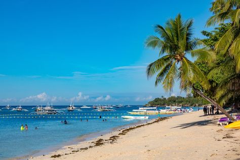 Alona Beach offers plenty, from diving to snorkeling and getting Filipino food on the beach. The article about Alona Beach provides context on why Alona Beach is a great place for people to relax and experience the breezy environment of the beaches in the Phillippines. Alona Beach In Bohol, Food On The Beach, Alona Beach, Philippines Beaches, Bohol Philippines, Filipino Food, Bohol, Romantic Places, Island Hopping