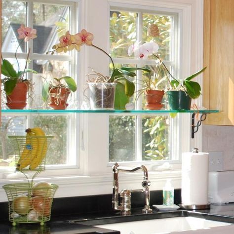 Stationary Window Designs, 20 Window Decorating Ideas with Glass Shelves Shelves Kitchen Window, Kitchen Window Plants Ideas, Window Sill Plant Shelf, Shelves Above Sink, Kitchen Window Plants, Kitchen Window Shelf, Window Plant Shelves, Window Sill Plants, Kitchen Window Shelves