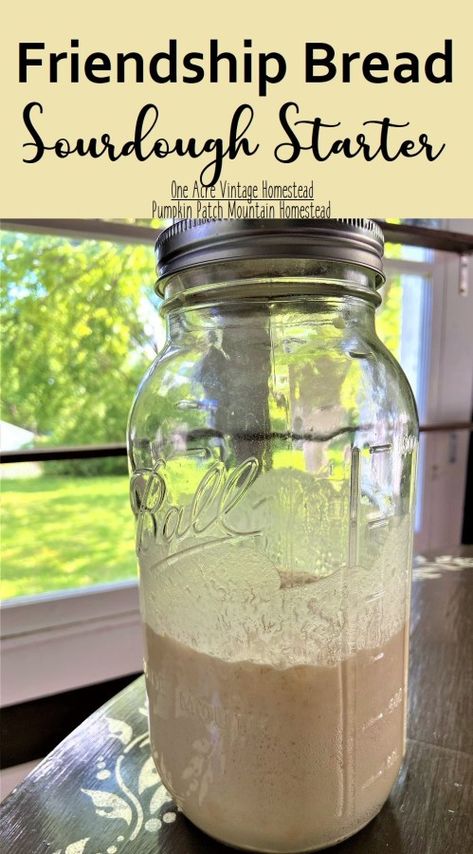 Amish Bread Starter, Mountain Homestead, Amish Friendship Bread Starter Recipes, Make A Sourdough Starter, Friendship Cake, Friendship Bread Recipe, Friendship Bread Starter, Amish Bread, Amish Friendship Bread