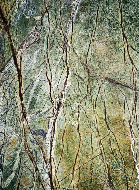 Rainforest Green Rainforest Green Marble, Color Marble, Opal White, Marble Colors, Green Marble, Green Pattern, Riviera Maya, Interior Walls, Main Colors