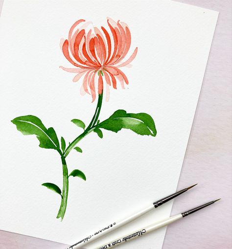 Yellow Chrysanthemum Drawing, Crysantenum Flower Painting, Chrysanthemum Painting Easy, Easy Chrysanthemum Drawing, Chrysanthemum Watercolor Painting, Chrysanthemums Drawing, Watercolour Chrysanthemum, Watercolor Mums, Naomi Tattoo