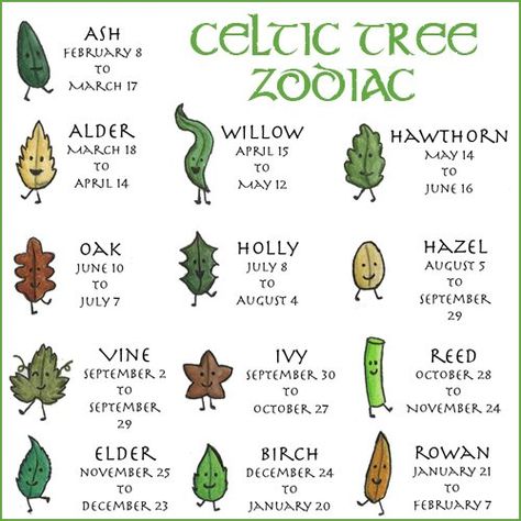 The Celtic Tree Zodiac is based on the ancient idea that the time of our births is pivotal to the formation of our personality and behavior. The spiritually savvy Celts, particularly the druids were expert observers. Over time, they recognized that a child born within a certain season would develop certain qualities. Further, the druids observed patterns in the color and shape of a persons life according to the motions of the moon and the season in which we are born. Celtic Tree Zodiac, Tree Zodiac, Celtic Tree Astrology, Celtic Zodiac, Zodiac Meanings, 2 September, Celtic Culture, Celtic Tree, Celtic Symbols