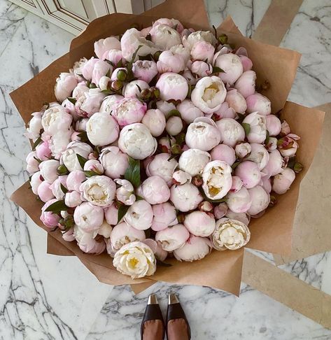 It’s finally peony season…but it’s always new shoe season. 🤍 #newshoes #peonyseason #styleinspiration #vetted #vettedmag #womensfashion #shoestyle Peonies Season, Shoe Style, New Shoes, Peonies, Style Inspiration, On Instagram, Quick Saves, Instagram