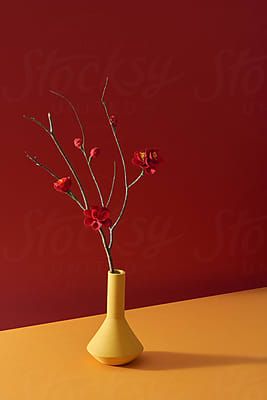 Chinese Lunar New Year, Lunar New Year Aesthetic, Cny Product Photography, Lunar New Year Design, Lunar New Year Photoshoot, Lunar New Year Photography, Lunar New Year Decoration, Lunar New Year, Chinese New Year Product Photography