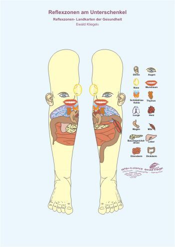 Hand Chart, Body Reflexology, Ear Reflexology, Reflexology Foot Chart, Foot Reflexology Massage, Medical Intuitive, Acupressure Therapy, Health Chart, Hand Reflexology