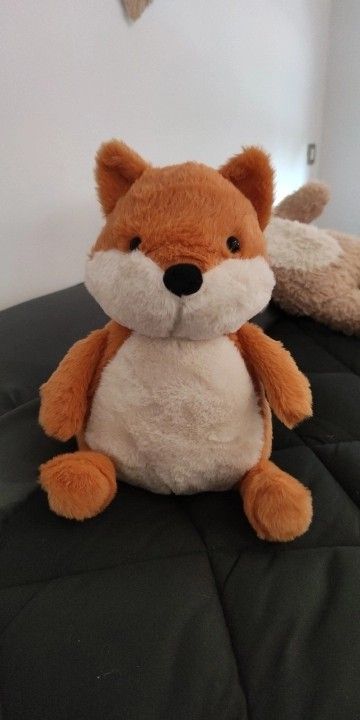 Orange Fox Aesthetic, Fox Aesthetic, Fox Plushie, Orange Fox, Fox, Teddy Bear, Queen, Orange, Toys