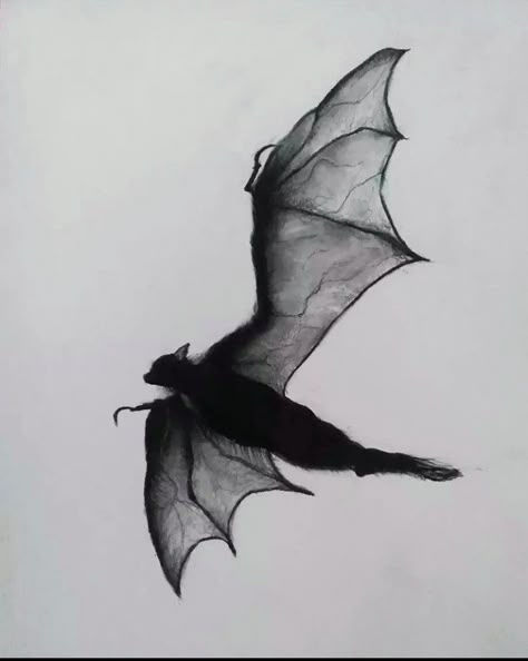 Bat Flying Tattoo, Goth Profile Picture, Gothic Bat Drawing, Dark Bat Tattoo, Bat Silhouette Tattoo, Bat Sketches, Bats Flying Drawing, Bat Drawing Scary, Bat Drawings