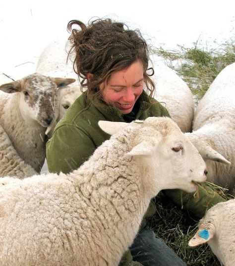 . Baa Baa Black Sheep, Irish Cottage, Irish Roots, Counting Sheep, Sheep Farm, Sheep And Lamb, The Good Shepherd, The Shepherd, Country Charm