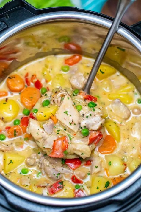 Chicken Thigh Stew, Best Chicken Stew, Chicken Breast Crockpot Recipes, Famous Recipes, Chicken Tikka Masala Recipes, Pot Recipes Healthy, Stew Chicken Recipe, Savory Meals, Pressure Pot