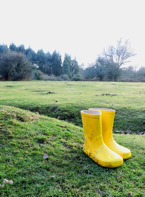 Yellow wellies Yellow Wellies, Coraline Jones, Style Moodboard, Wellies Boots, Rubber Boots, Winter 2023, Coraline, Vintage Yellow, Hunter Boots