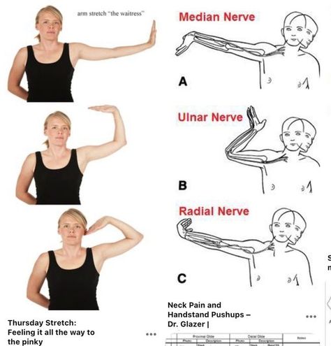 Alan Spinney on X: "@weredawgz @DBAndry I was having severe forearm cramps and pinched nerves, until physio recommended ‘ulnar nerve flossing’. Odd name, but these work for me: https://t.co/XSVxlr3QyJ" / X Ulnar Nerve Flossing, Ulnar Nerve Exercises, Forearm Stretches, Nerve Flossing, Ulnar Nerve, Shoulder Stretches, Median Nerve, Nerve Health, Pinched Nerve