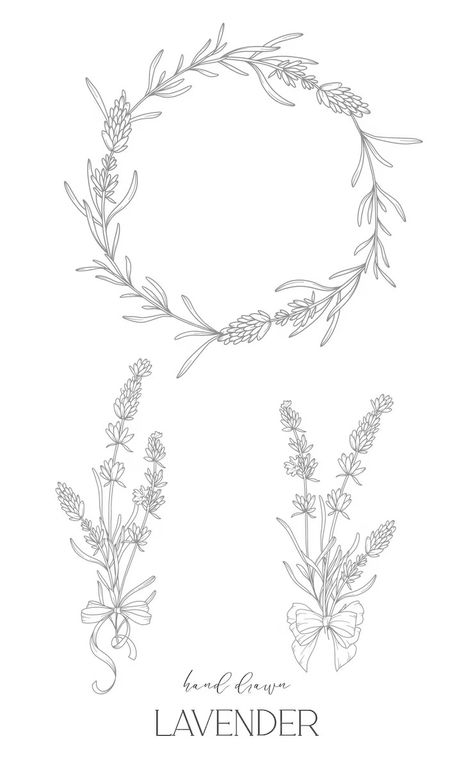 Premium Vector | Lavender Line Drawing Black and white Floral Frames Floral Line Art Fine Line Lavender Lavender Flower Tattoo Black And White, Lavender Plant Tattoo Black And White, Lavender Line Drawing, Fine Line Lavender, Lavender Illustration, Wrap Tattoo, Drawing Black And White, Lavender Tattoo, Floral Line Art