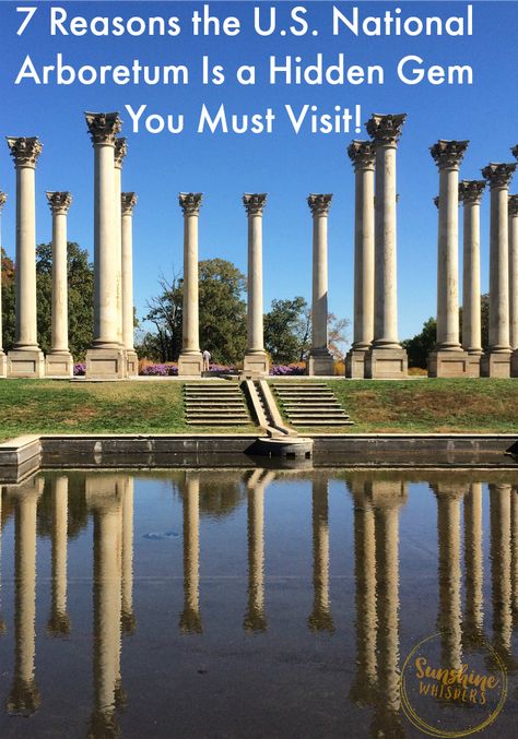 7 Reasons the U.S. National Arboretum Is A Hidden Gem You Must Visit! National Arboretum Dc, Maryland Summer, Hidden Gem, Day Trip, The National, Maryland, Summer Fun, You Must, North America