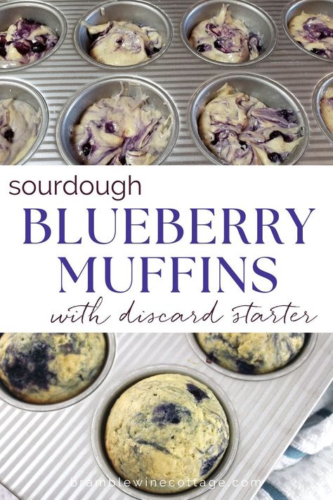 Sourdough Discard Blueberry Muffins, Discard Blueberry Muffins, Sourdough Discard Blueberry, Sourdough Blueberry Muffins, Sourdough Blueberry, Mini Blueberry Muffins, Sourdough Muffins, Recipe Using Sourdough Starter, Blueberry Muffin Recipe