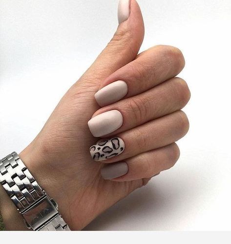 Nails Leopard, Taupe Nails, Fall Acrylic Nails, Leopard Nails, Trendy Nail, Trendy Nail Design, Pretty Acrylic Nails, Chic Nails, Short Acrylic Nails