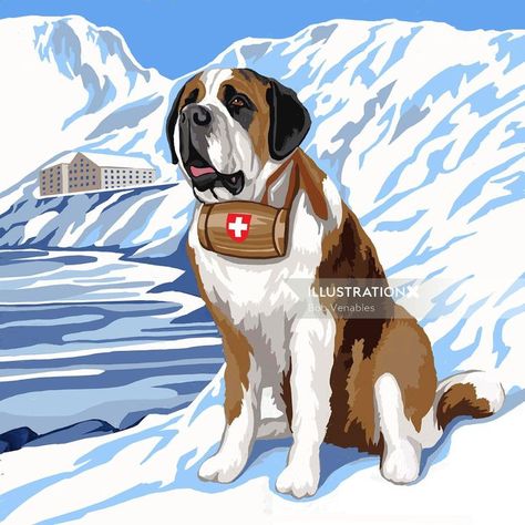 Animal St. Bernard Rescue Dog  painting Bob Venables, San Bernard, Drawing Face Expressions, St Bernard Dogs, Bernard Dog, Dog Painting, St Bernard, Rescue Dog, Dog Illustration