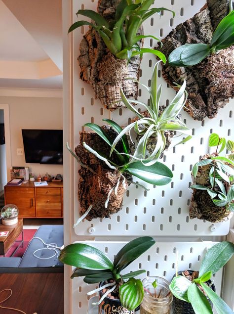 Wall Planter Decor, Wall Planter Ideas, Ikea Pegboard, Planter Decor, Gallery Wall Living Room, Paper Plants, Planter Ideas, Wall Garden, Orchid Care