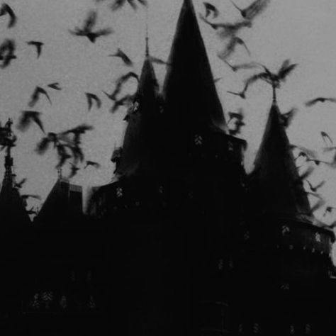 #spooky #dreamhouses #aesthetic #fuckyou #meh Nona Limmen, Paradis Sombre, Goth Architecture, Dark Castle, Gothic Castle, Castle Aesthetic, Ange Demon, Three Fold, 다크 판타지