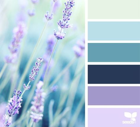 Lavender Color Palette, Seeds Color, Palette Design, Color Schemes Colour Palettes, Design Seeds, Color Palette Design, Colour Field, Pop Design, Purple And Green