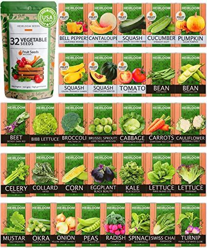 Fruit Squash, Survival Garden, Seed Vault, Lettuce Seeds, Pumpkin Squash, Seed Kit, Vegetable And Fruit, Survival Gardening, Seed Pack