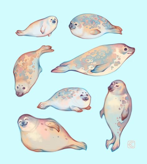 Cute Seals, Concept Artist, Poses References, Animal Sketches, Cute Animal Drawings, Art Watercolor, Sea Animals, 귀여운 동물, Animal Illustration