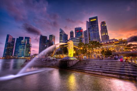 The Merlion of Singapore | In early January Adriana and I to… | Flickr Singapore Landscape, Merlion Singapore, Gardens By The Bay Singapore, Sargasso Sea, Marc Quinn, Photography Board, Purple Tones, Singapore Travel, Country Landscaping