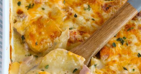 Scalloped Potatoes and Ham Potatoes And Ham Casserole, Scalloped Potato Casserole, Potatoes And Ham, Creamy Scalloped Potatoes, Scalloped Potatoes And Ham, Ham Potato, Honey Roasted Carrots, Ham Casserole, Cream Of Broccoli Soup