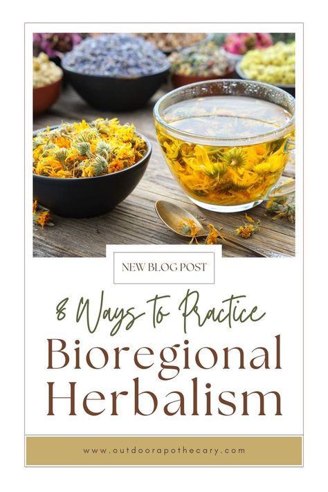 Bioregional herbalism focuses on knowing where your herbs come from, understanding how they interact with each other and with their environment, and using them in ways that align with those relationships. Outdoor Apothecary, Endangered Plants, Nature Therapy, Mountain Rose Herbs, The Old Ways, Essential Oils Herbs, Natural Ecosystem, Herbal Healing, Old Ways