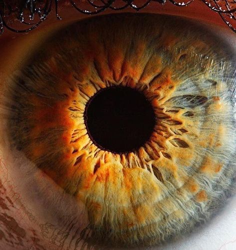 Realistic Eye Drawing, Photo Macro, Eye Close Up, Extreme Close Up, Realistic Eye, Photography Inspiration Portrait, Close Up Photography, Foto Tips, Eye Photography