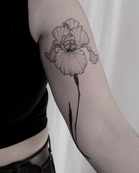 Thank you! #madeinbarcelona #taniavaiana #tattoo #tattoodo #ink #inked #taot #btattooing #tattrx #iris #botanical #flowerpower… Iris Flower Tattoos, Ruth Tattoo, Iris Flower Tattoo, Delicate Flower Tattoo, Realistic Flower Tattoo, Vintage Flower Tattoo, Iris Tattoo, Wildflower Tattoo, Small Flower Tattoos