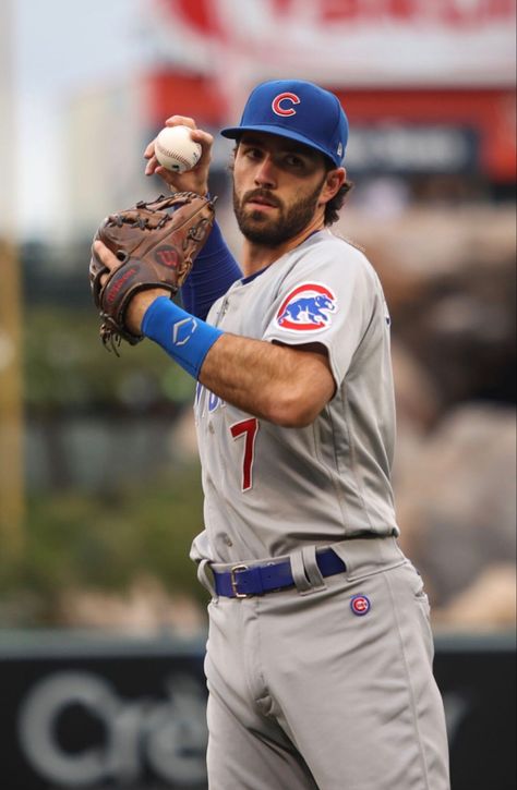 Mlb Wife, Baseball Drip, Cubs Wallpaper, Mlb Baseball Players, Liz Tomforde, Hot Baseball Players, Guy Aesthetic, Dansby Swanson, Sports Players