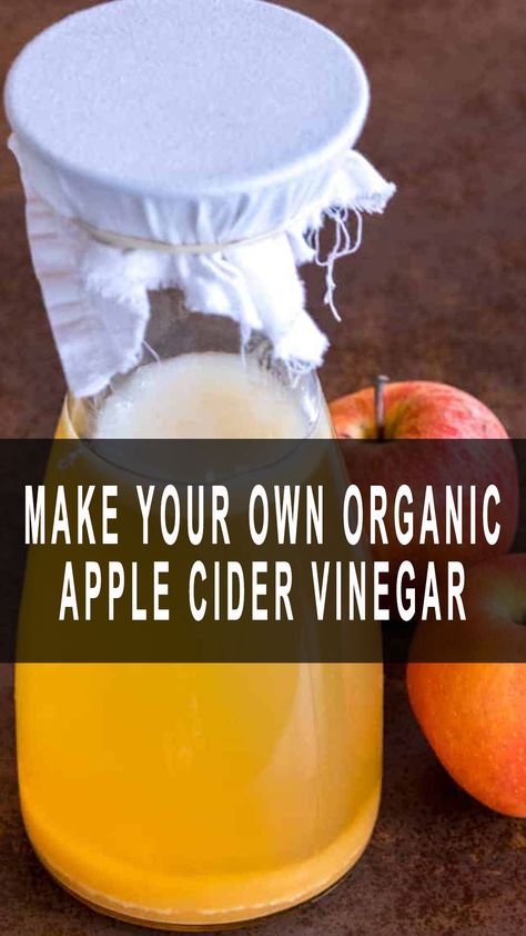 Make Your Own Organic Apple Cider Vinegar Infused Apple Cider Vinegar, Homemade Apple Cider With Juicer, Apple Cider Vinegar From Scraps, Diy Apple Cider Vinegar, Apple Cider Vinger, Scrap Apple Cider Vinegar, Making Acv Raw Apple Cider Vinegar, Make Apple Cider, Diy Apple Cider