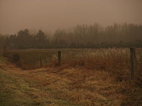 Autumn Field Aesthetic, Spooky Autumn Aesthetic, Hayride Aesthetic, Abandoned Field, Field Reference, Dry Field, Dark Field, Fall Field, Autumn Field