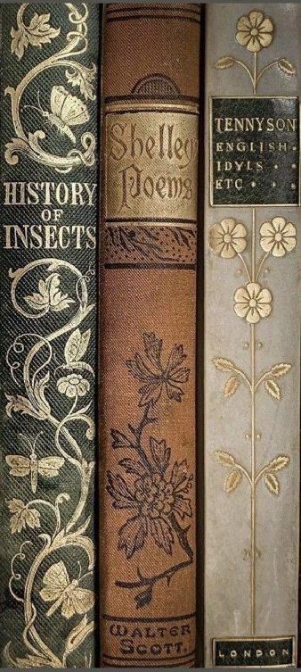 Dark Academia Book Cover, Magic Book Aesthetic, Old Books Aesthetic, Aveline Stokart, Ornate Books, Colorful Books, Victorian Books, Pastel Color Schemes, Book Spine