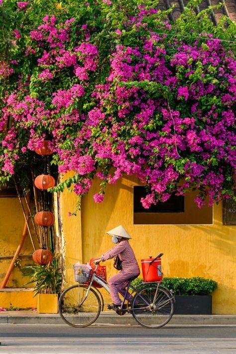 Alden Anderson seeks to highlight the bold colors of Hoi An, Vietnam, juxtaposed with the daily life of the locals in his collection “Colors of Hoi An”. #hoian #vietnam #yellow #travelphotography #asia #oldtown #unesco #seasia #traveldestination #flowers #bougainvillea #purple #pink Vietnam Artwork, Streets Photography, Hoi An Old Town, Vietnam Beauty, Chicago Aesthetic, Hoi An Vietnam, Vietnam Voyage, Vietnam Art, Hoi An