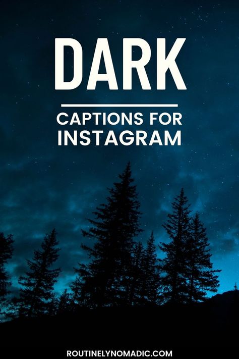 Forest at night with word Dark Captions for Instagram Dark Captions For Instagram, Dark Captions, Aesthetic Captions For Instagram, Love Captions, Aesthetic Captions, Insta Aesthetic, Dark Love, Photo Caption, Funny Captions