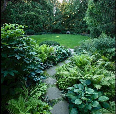 Slope Shade Garden, Landscape Ideas Front Of House, Landscape Ideas With Rocks, Front Yards Landscape, Landscape Ideas Around Pool, Landscape Ideas For Backyard, Ideas Around Trees, Small Front Yards, Pool Landscape Ideas