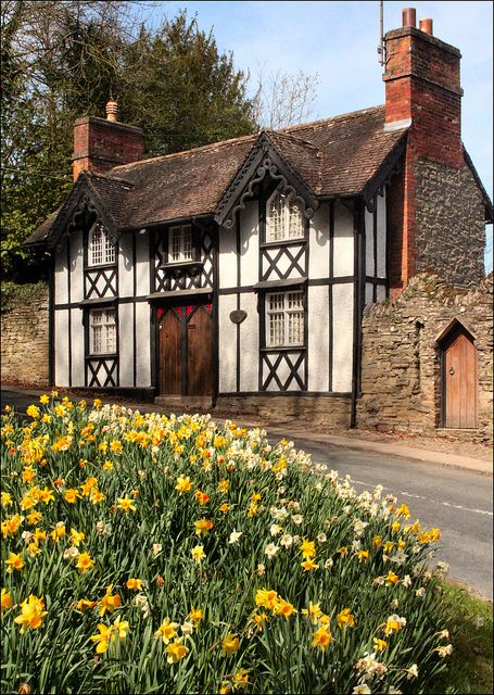 A traditional English cottage and some seasonal Spring daffofils, Very "Country Life". Cute Cottages, Tudor Cottage, Cottage Cabin, Beautiful Cottages, Thatched Cottage, Tudor House, Dream Cottage, England And Scotland, To Infinity And Beyond