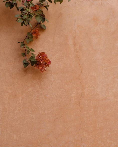 Earth Tone Aesthetic, Earth Tones Aesthetic, Living Aesthetic, Personal Branding Identity, Marrakech Morocco, Interior Design Mood Board, Phone Wallpaper Patterns, Mood Board Design, Bougainvillea